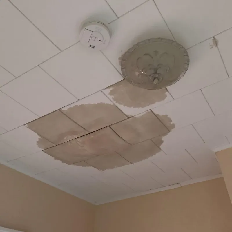 Ceiling Water Damage Repair in Spring Grove, MN